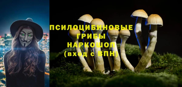 трава Беломорск