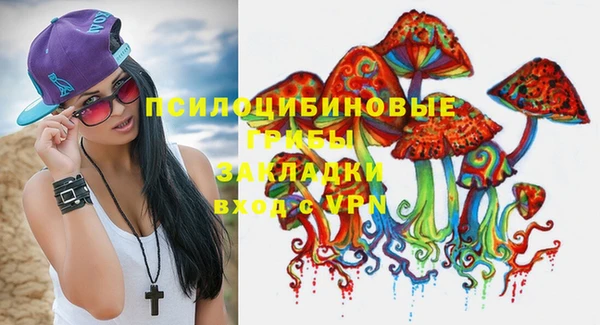 трава Беломорск
