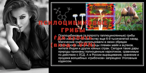 винт Белокуриха