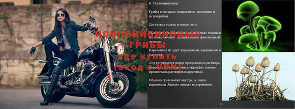 винт Белокуриха