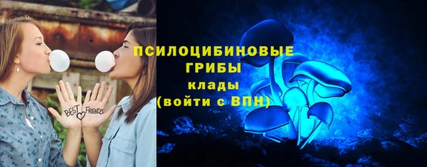 трава Беломорск